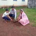 एक पेड़ माँ के नाम