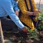वृक्ष की छाया मां ममता जैसी..