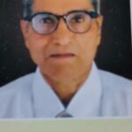 विश्व भाषा हिंदी